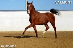 ������ �� �������, �������� �������� ��������