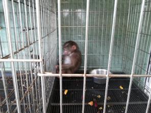 ������-������.