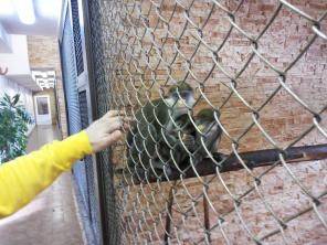 ������������� ��������.