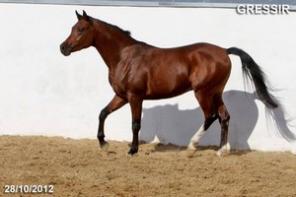 ������ �� �������, �������� �������� ������� 2010