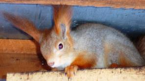 ����� ��������� � ������������. ��������!