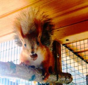 ����� ��������� � ������������. ��������!