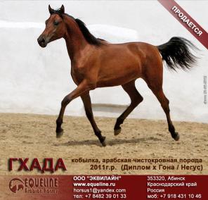 ��������� �������� ������� �����