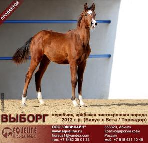 ��������� �������� ������������ �������� ������