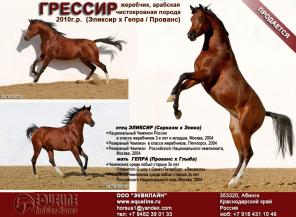 ��������� �������� ������������ ������� �������