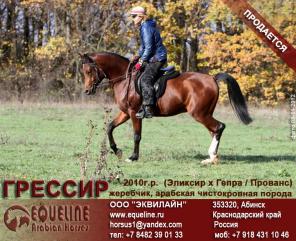 ��������� �������� ������������ ������� �������