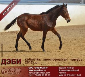 ��������� ������� ����� - ������ ����