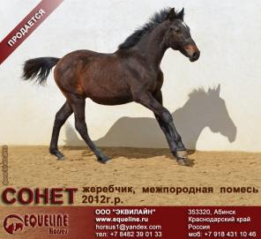 ��������� �������� 2012 �.�.