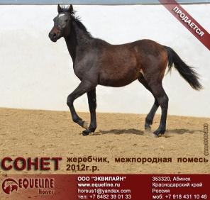 ��������� �������� 2012 �.�.