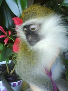 �������� ������, ������, ���������, �������������, ������ ������ ����� � ���