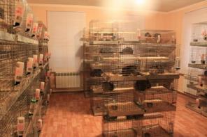 ��������� 12 ����� �������.