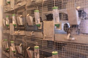 ���������� ������� � �������� �������� �����