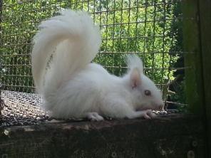 ������� ������ ������