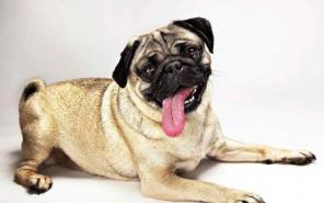 ���������� �������� �������