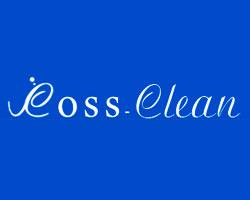 ������ �������� Ross-Clean: ���������������� ����������� ������ � ������.