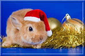 ���������� ������� �� ��������� "�������". ���� ���� "�������".