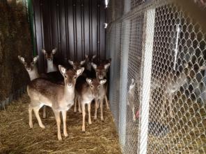 ����  �����������  ������ �����  �  ���