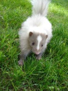 ������, �����, ����������, ������������ ������