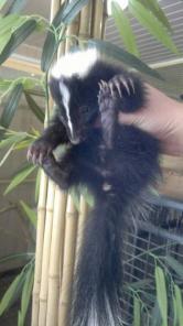 ������, �����, ����������, ������������ ������