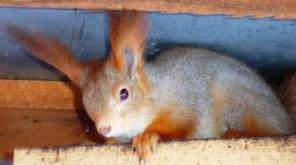 ����� ���������(��������). ��������!