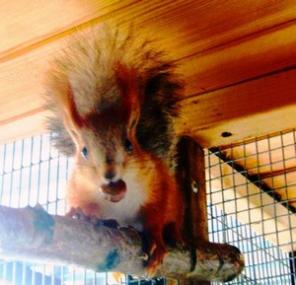 ����� ���������(��������). ��������!