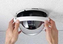 ������  ����������