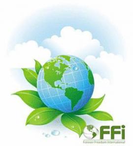 FFI ������ ������ ������