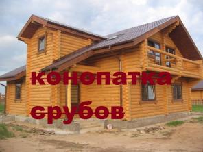 Плотники Вятки / частная бригада