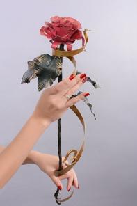 ������������ ������� ������� �� ������������� �� �������