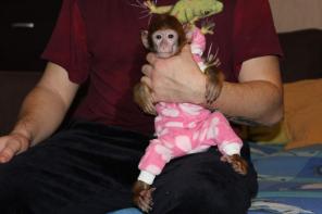 ������ ���������!