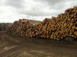 ���������� ���������� 12,5%