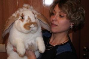 супер кролики мясных пород!