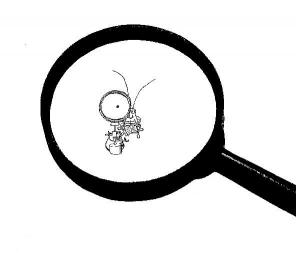 ������� �������� � ������ � ���������� �������