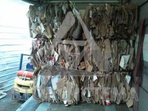 ����� ����������