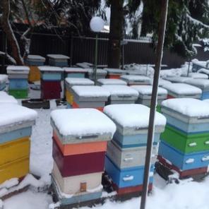 ������ ���� ���������� ������.