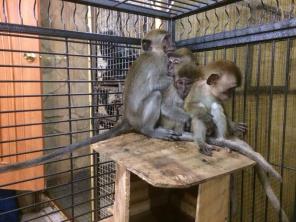 �������� ������.