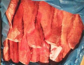 ��������������� ���� �����