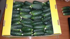 ����� � ������ �����