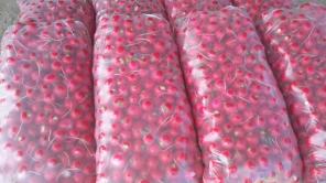 ����� � ������ �����