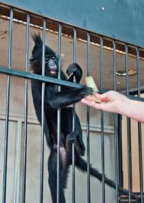 ��������.