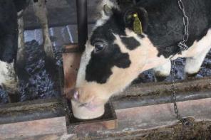 �������������