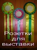 Наградные розетки