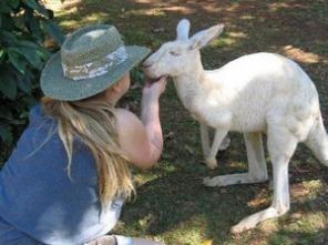 ������  ������� �����, ����������, �������, �����