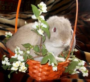 ���������� ������