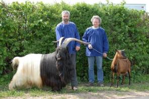 ���� ��������� ������ ����� � ���.  ������