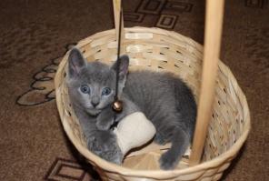 ������� ������ ������� ������� ������� � �������