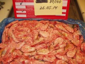 ������ �������� ������-���������.