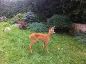 ������ ������, ����, ������  ����� � ���. ������