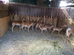 ������ ������, ����, ������  ����� � ���. ������