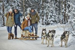 ������� ������ ����� �� �������������.